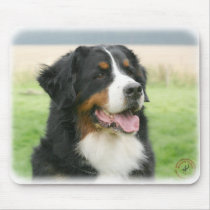 Bernese Mountain Dog 9Y066D-046 Mouse Mat