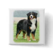 Bernese Mountain Dog 9Y066D-133 Pins