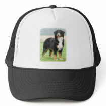 Bernese Mountain Dog 9Y066D-133 Trucker Hat