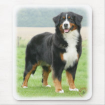 Bernese Mountain Dog 9Y066D-133 Mouse Pads