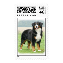 Bernese Mountain Dog 9Y066D-133 postage