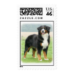 Bernese Mountain Dog 9Y066D-133 postage