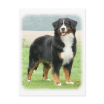 Bernese Mountain Dog 9Y066D-133 Post Cards