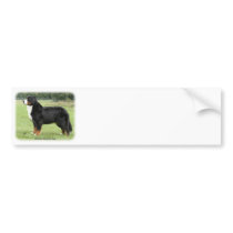 Bernese Mountain Dog 9Y236D-087 Bumper Stickers