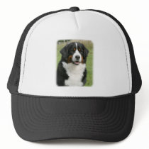 Bernese Mountain Dog 9Y236D-106 Mesh Hats