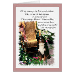 Bernese Mountain Dog Art Gifts card