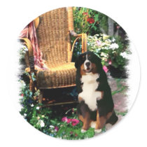 Bernese Mountain Dog Art Gifts Sticker