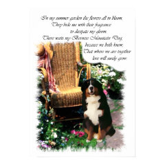 Bernese Mountain Dog Art Print print