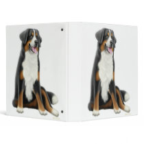 Bernese Mountain Dog Avery Binder
