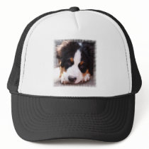 Bernese Mountain Dog Baseball Hat