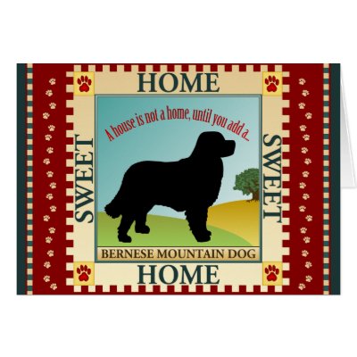 Bernese Mountain Dog [Berner] Greeting Cards by taoofblue