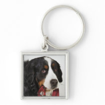 Bernese Mountain Dog (Berner Sennenhund) with Key Chain