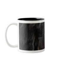 Bernese Mountain Dog (Berner Sennenhund) with Coffee Mugs