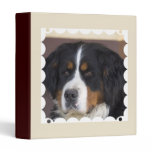 Bernese Mountain Dog Binder binders
