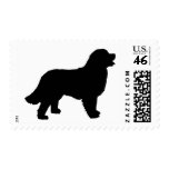 Bernese Mountain Dog (black silhouette) Postage