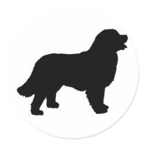 Bernese Mountain Dog (black silhouette) Stickers