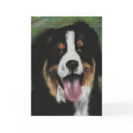 Bernese Mountain Dog Blank Card