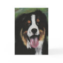 Bernese Mountain Dog Blank Card