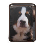 Bernese Mountain Dog Breed 13" MacBook Sleeve