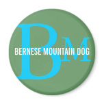 Bernese Mountain Dog Breed Monogram Magnets