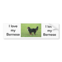 Bernese Mountain Dog Bumper Stickers