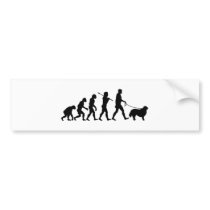Bernese Mountain Dog Bumper Stickers