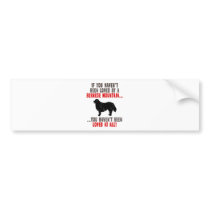 Bernese Mountain Dog Bumper Sticker