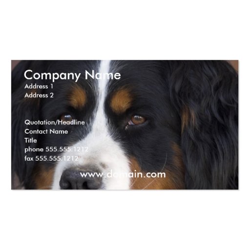 Bernese Mountain Dog Business Card (front side)