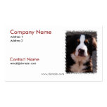 Bernese Mountain Dog Business Card