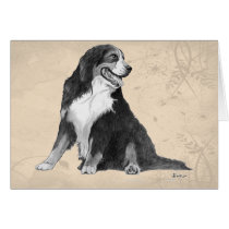 bernese mountain dog greeting card