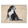 bernese mountain dog greeting card