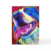 Bernese Mountain Dog Cards