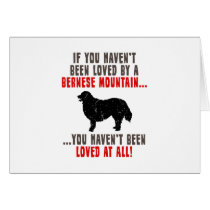 Bernese Mountain Dog Greeting Card