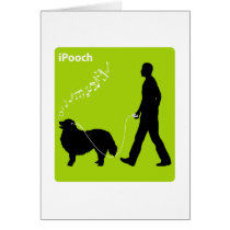 Bernese Mountain Dog Greeting Cards