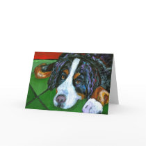 "Bernese Mountain Dog" Cards by Dimages "Bernese Mountain Dog" Cards