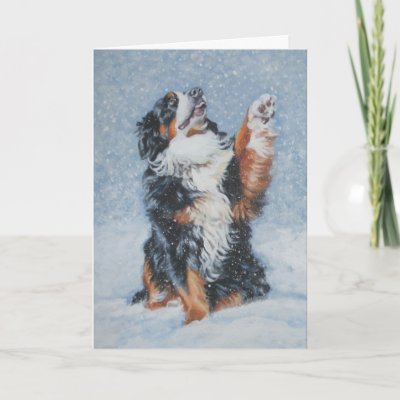 Bernese Mountain Dog Christmas Card
