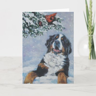 bernese mountain dog christmas card