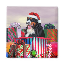 Bernese Mountain Dog Christmas Surprise Magnets