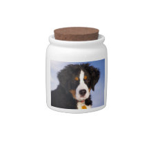 Bernese Mountain Dog - Cute Puppy Photo Candy Jars