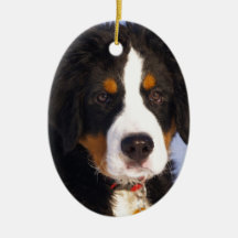 Bernese Mountain Dog - Cute Puppy Photo Christmas Ornament