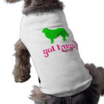 Bernese Mountain Dog pet clothing