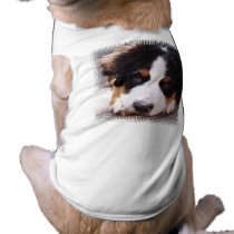 Bernese Mountain Dog Pet Tee Shirt