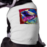 Bernese Mountain Dog pet clothing