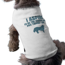 Bernese Mountain Dog Dog Clothing