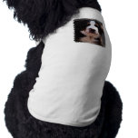 Bernese Mountain Dog Dog Shirt pet clothing