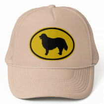 Bernese Mountain Dog Mesh Hats