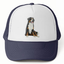 Bernese Mountain Dog Hat