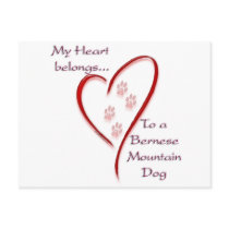 Bernese Mountain Dog Heart Belongs Postcard