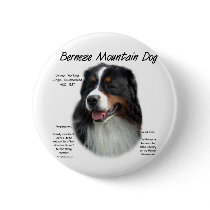 Bernese Mountain Dog History Design Pinback Button