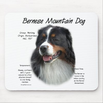 Bernese Mountain Dog History Design Mousepads by GreyWolfCreation